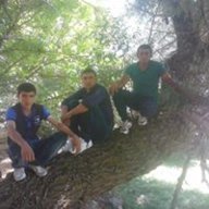 imfazcii