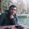 Alicilik